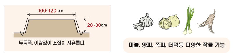 172e4f72303657a192740b062c5533f0_1771581303_8529.jpg 172e4f72303657a192740b062c5533f0_1771581303_8529.jpg